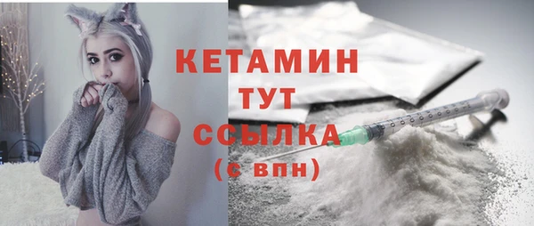 сатива Вяземский
