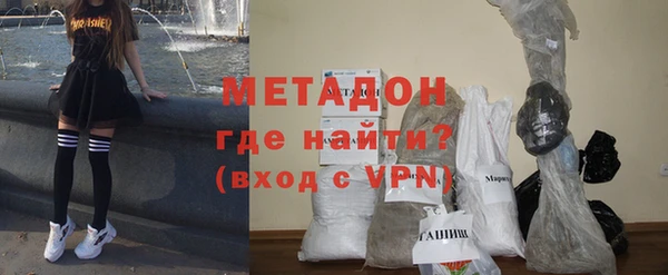 сатива Вяземский