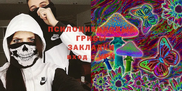 мяу мяу мука Вязьма
