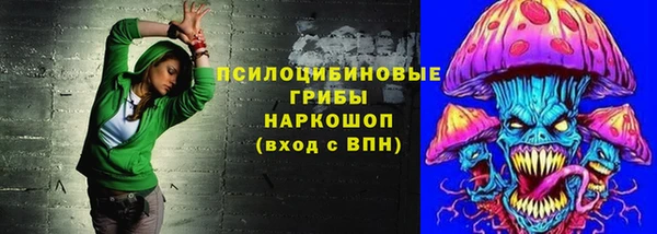 сатива Вяземский